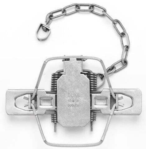 Duke #2 Dogless Offset Jaw Trap 4 Coiled